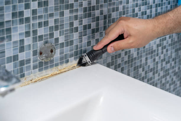 Best Preventive Mold Services in Salem, OR
